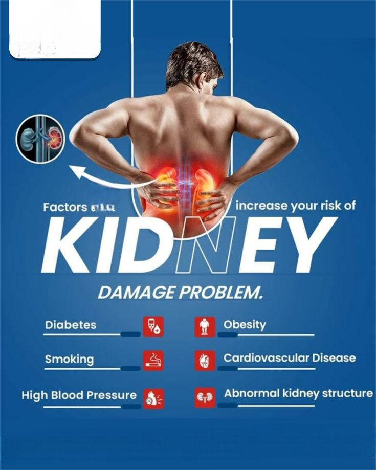 andrewjohnpub1's tweet image. Factors that increase the risk of kidney damage include high blood pressure, diabetes, obesity, smoking, excessive alcohol consumption, and a family history of kidney disease. #KidneyHealth #StayHealthy 💧👩‍⚕️