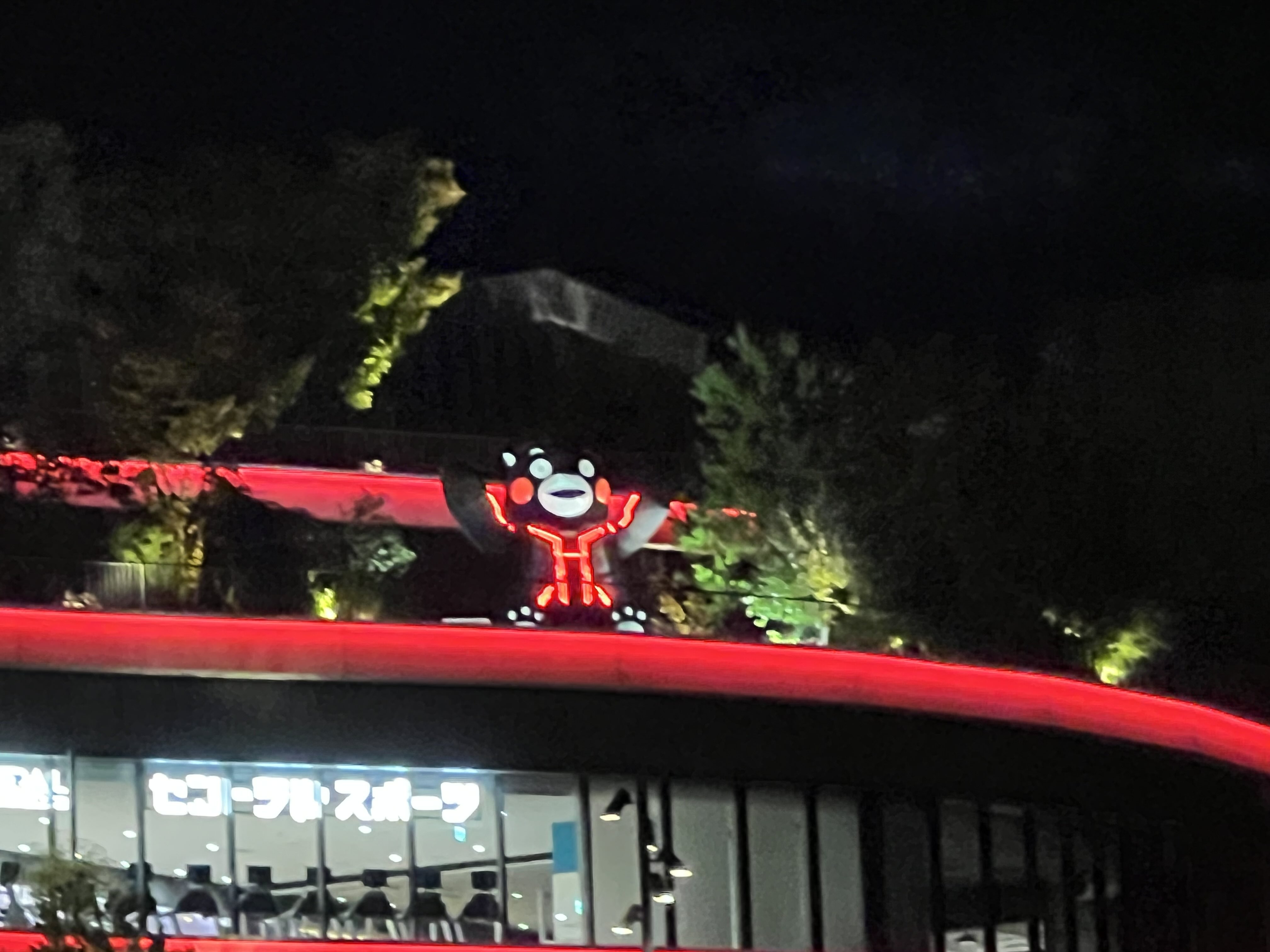 本日ラストチャンス❗️超絶希少❗️ムサノノピンクバリエガータ 新葉展開中✨️ Stream Touhou 東方 Innocent Key - Immoral Sister [背徳姉妹