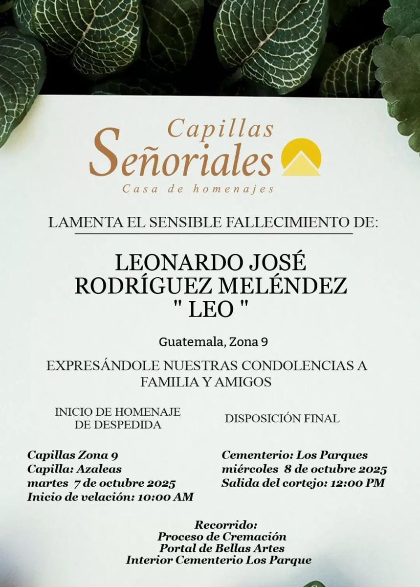 share.google/7na2UPLg2uVh4h…