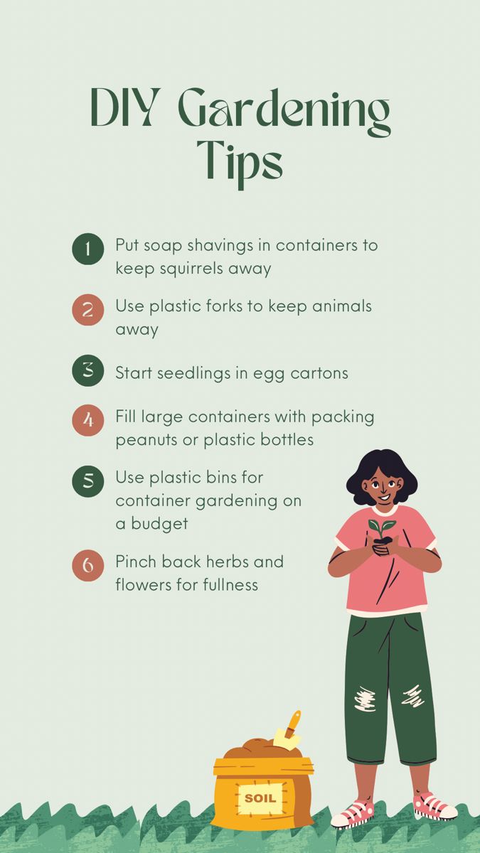 #The #best #diy #gardening #ideases