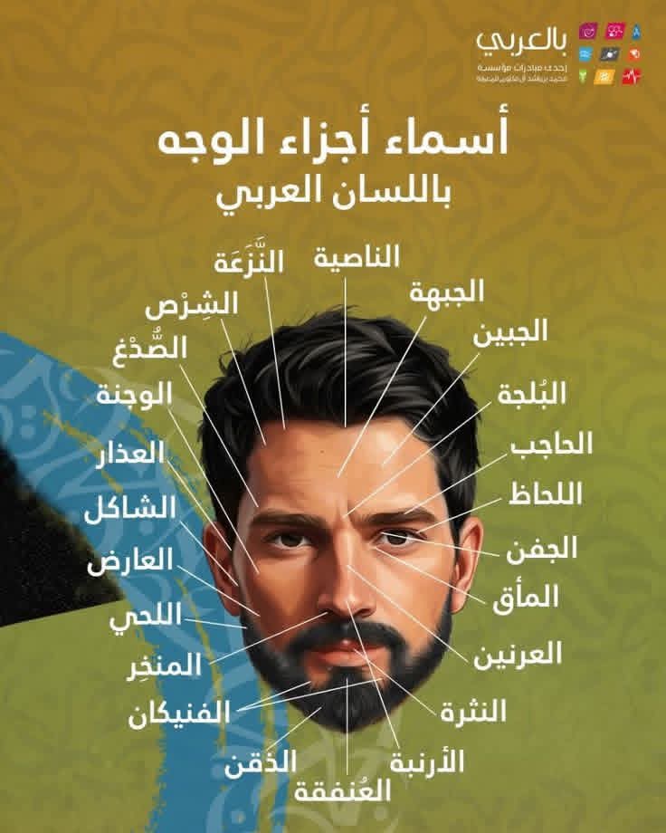 هندسة النحو-هيثم الوزير (@haithamalwazir) on Twitter photo 