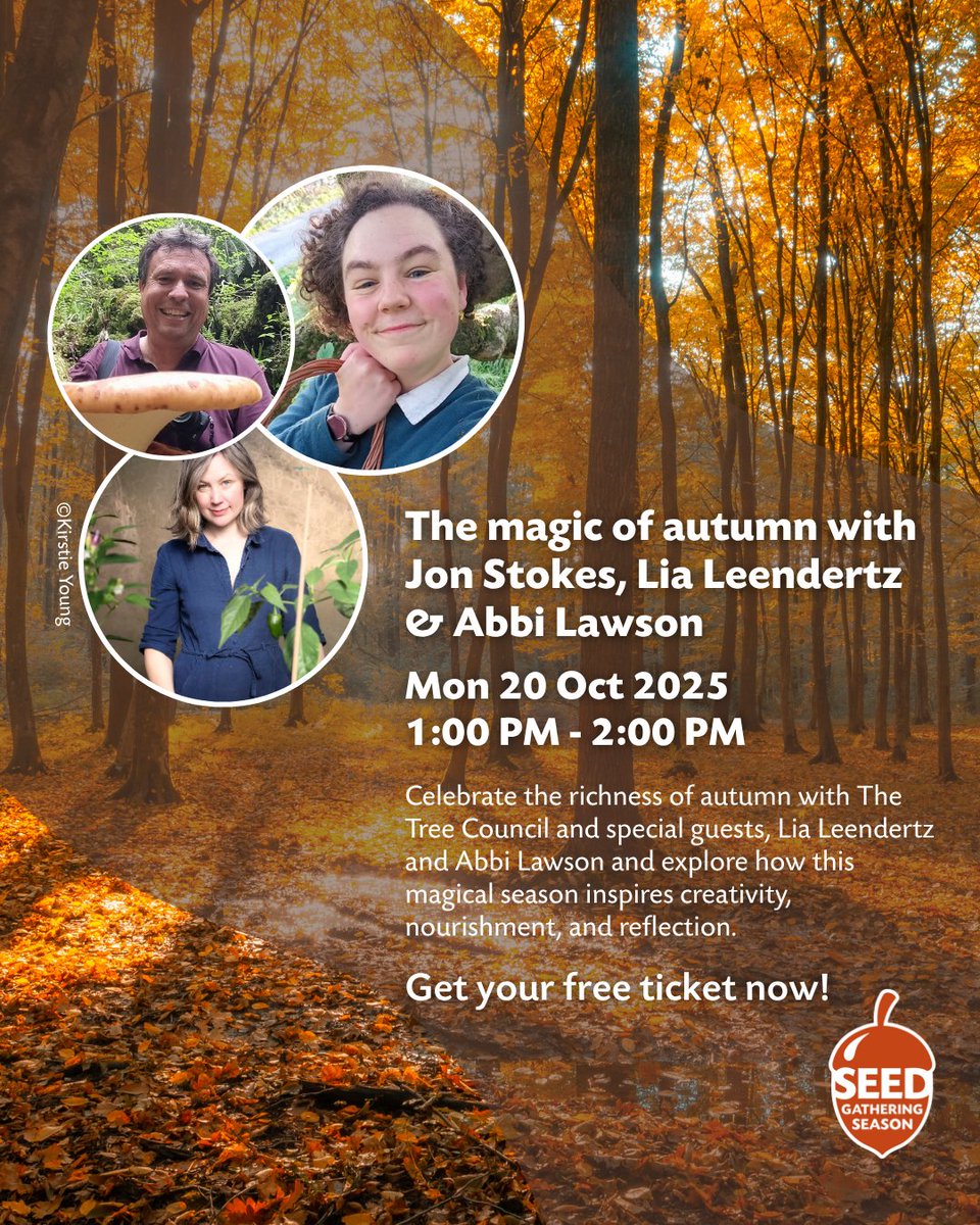 TheTreeCouncil's tweet image. Final Seed Gathering Season online talk! 📷

Join us to celebrate the richness of autumn and its fruit, with special guests Lia Leendertz and Abbi Lawson. Explore how this magical season inspires creativity, nourishment, and reflection. Hosted by Jon Stokes – tree expert and…