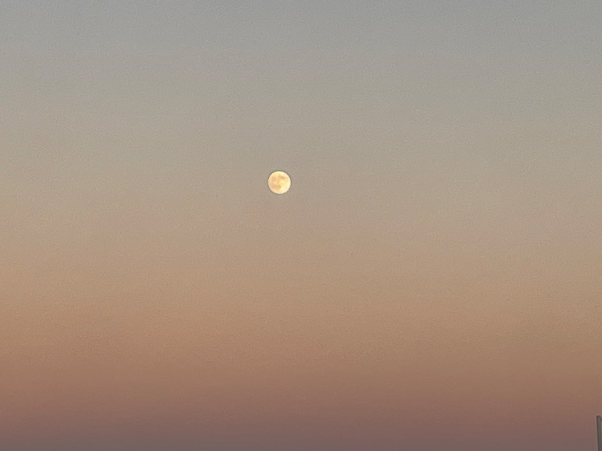 i love you moon