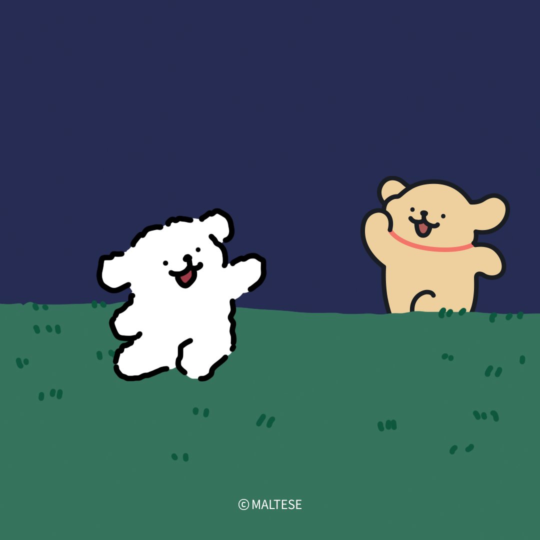 モルチーズ【公式】 tweet media