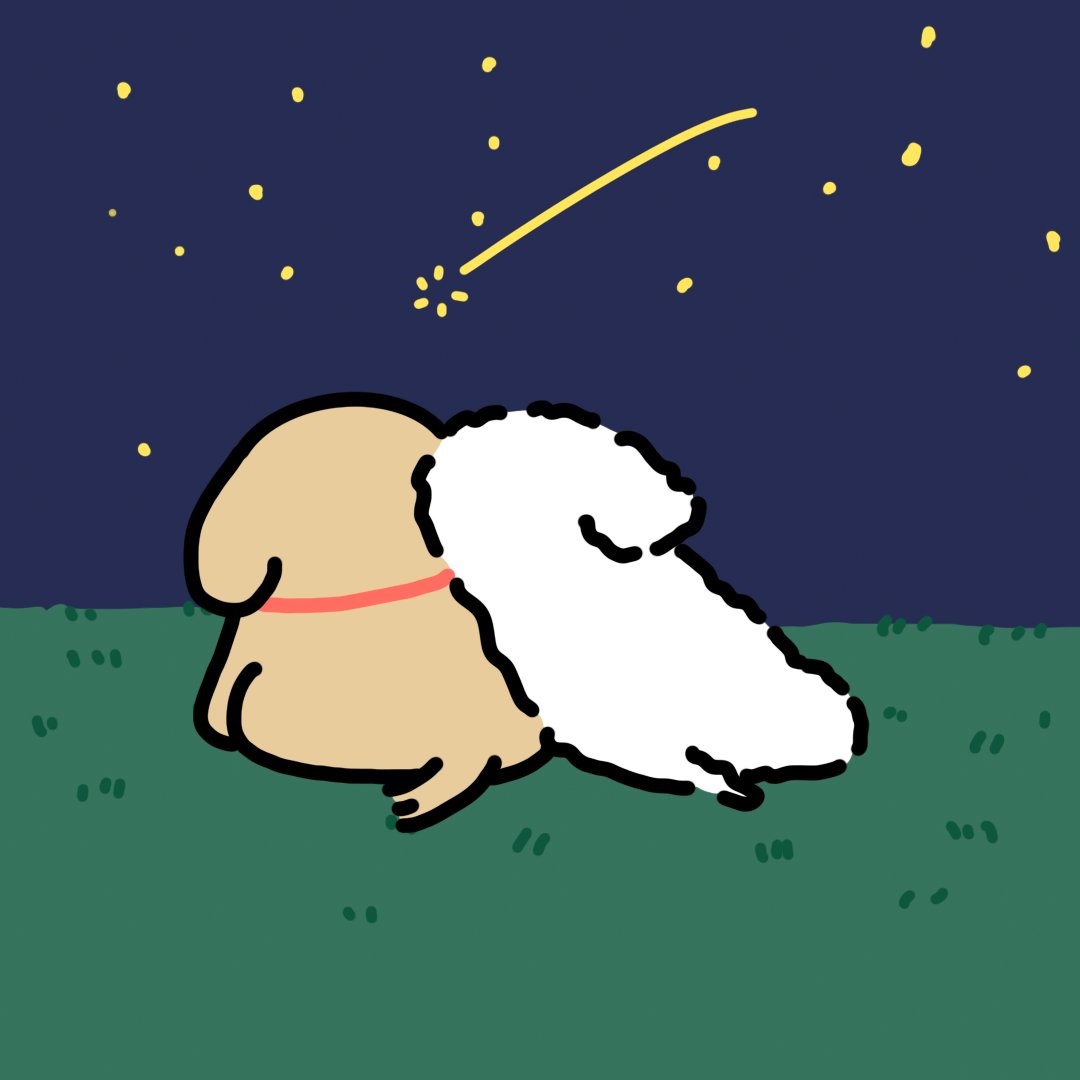 モルチーズ【公式】 tweet media