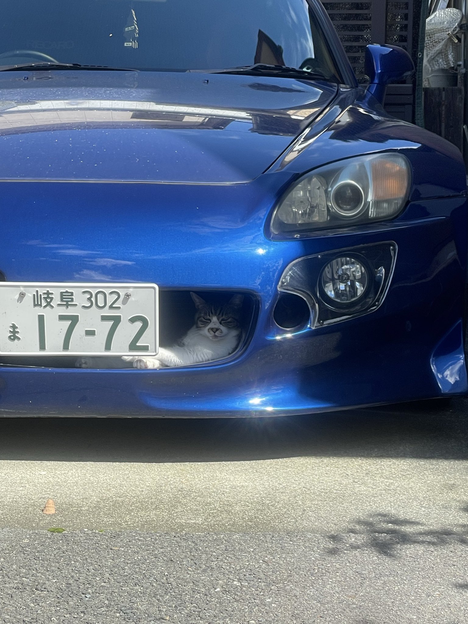 G2obJITbIAIjSQc?format=jpg&name=large