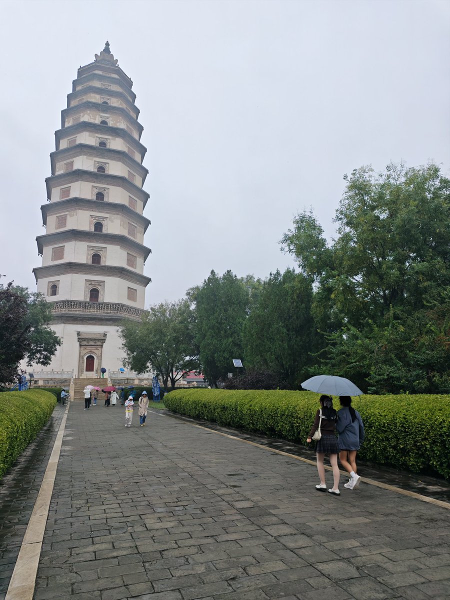 wuyou（石家庄） tweet media