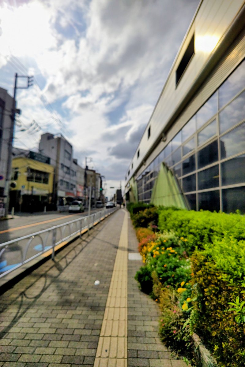 急激に涼しくなってきましたね💦
今日は急遽長袖にしました😊
雲多く風が涼しいです！
#企業公式秋のフォロー祭
#企業公式相互フォロー
#企業公式が地元の天気を言い合う
#東京 #世田谷 #千歳船橋駅
#イマソラ #空ネット