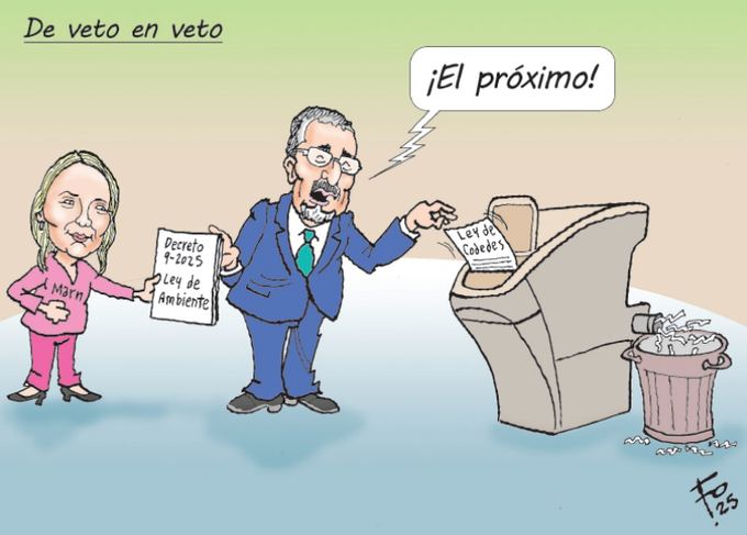 Cartoon illustration shows a woman with blonde hair wearing a pink outfit holding papers labeled Presidente electo and Ley de Bienestar, extending them toward a bespectacled man in a blue suit and green tie standing behind a podium with a microphone, gesturing emphatically. The man has a speech bubble saying el proximo with a zigzag line indicating frustration. A trash bin overflows with crumpled papers beside the podium. The title De veto en veto appears at the top in bold text. The artwork is signed Fo at the bottom right.