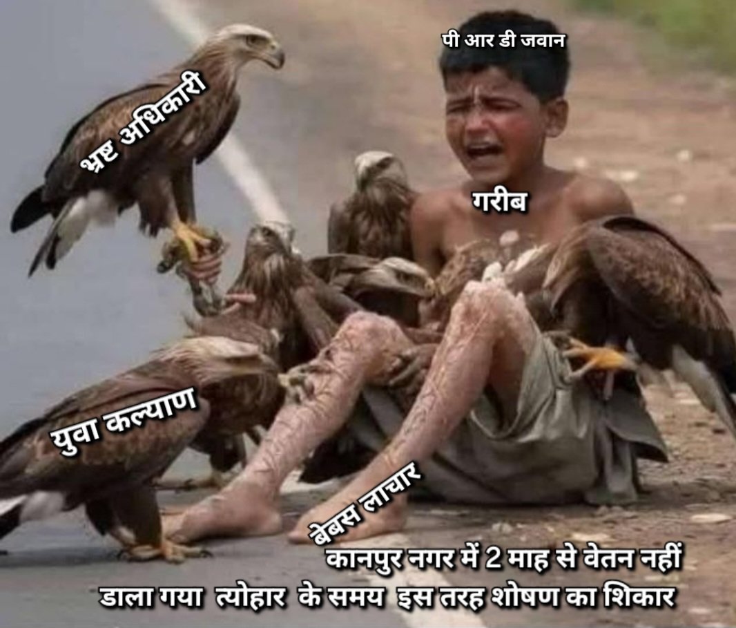 prdke's tweet photo. Prd जवानों से बदला लेने का नया तरीका वेतन समय से ना दो तो जवान खुद टूट कर मर ही जाएगा खबर आ रही कानपुर नगर में 2 माह से जवानों का वेतन विलंब से दिया जा रहा 2 माह से वेतन नहीं मिला त्योहार के समय ऐसा क्यूँ प्रताडित किया जा रहा@BJP4UP @myyogiadityanth @UPGovt @dgprdup https://t.co/DeTk2svHLK