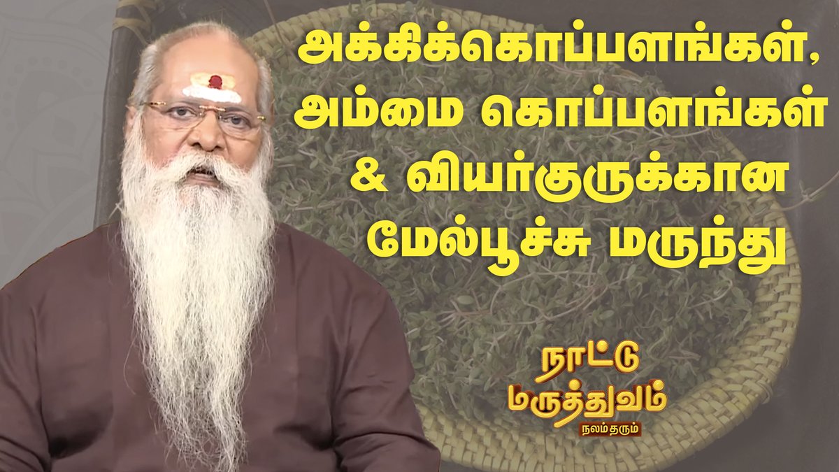 SunLifeTamil's tweet image. அக்கிக்கொப்பளங்கள், அம்மை கொப்பளங்கள் &amp;amp; வியர்குருக்கான மேல்பூச்சு மருந்து

youtube.com/watch?v=qRI76-…

#Sunlife | #Nattumarutthuvam | #Pimples |