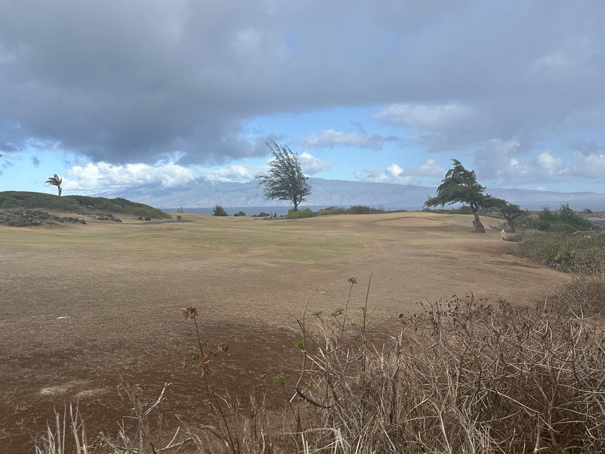 Stopped by Kapalua today and the course looks totally dead.  Can’t fathom how much business this water dispute is costing them.