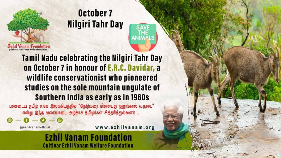 ezhilvanamoff's tweet photo. #NilgiriTahrDay #Nilgiritahr #NilgiriTahr #நீலகிரி_வரையாடு #TNForest #ProjectNilgiriTahr #Varaiaadu #TamilHistory @tnforestdept @RRajakannappan  @supriyasahuias https://t.co/dUbHwKivxe