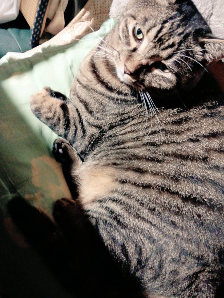 エンゼルのママ💖🍊🍎(*^^)v (@yae10060707) / Posts / X