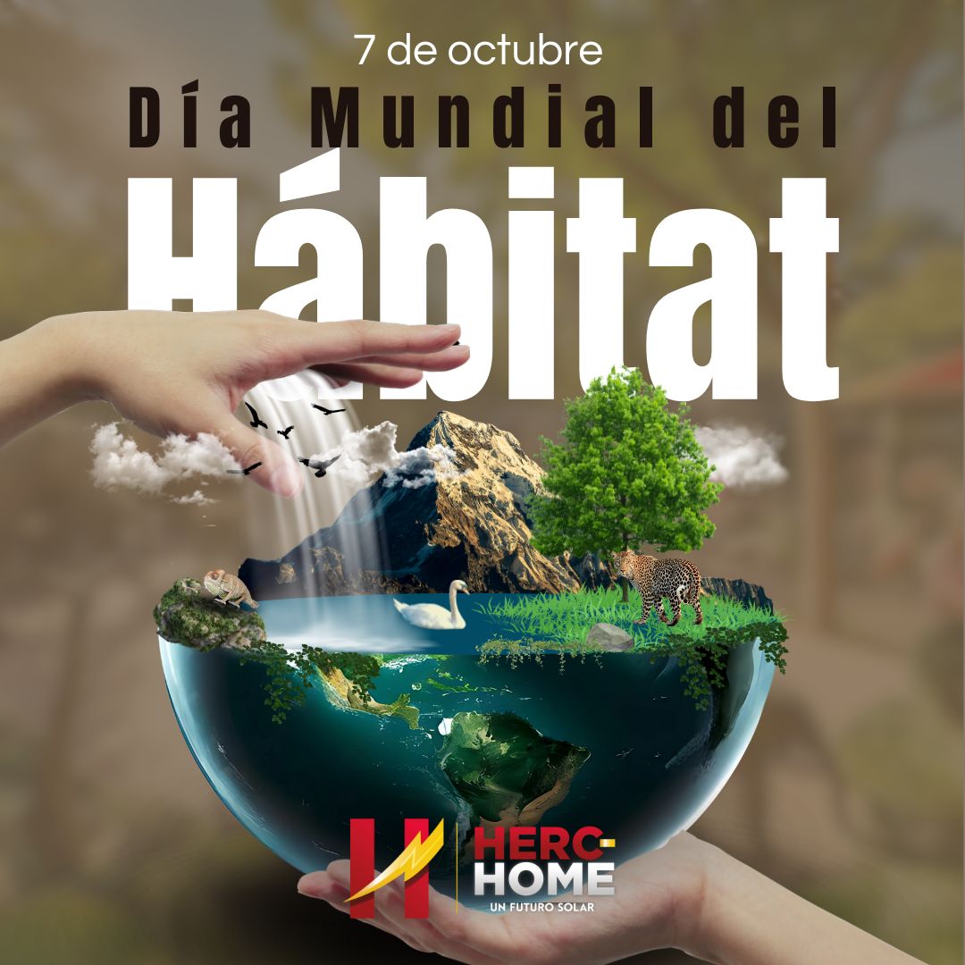 nipeptstgo's tweet image. El futuro de la humanidad está en nuestras manos,cuidemos el hábitat  que compartimos.
#DiaMundialDelHabitat
#SantiagodeCuba 
#eptstgo