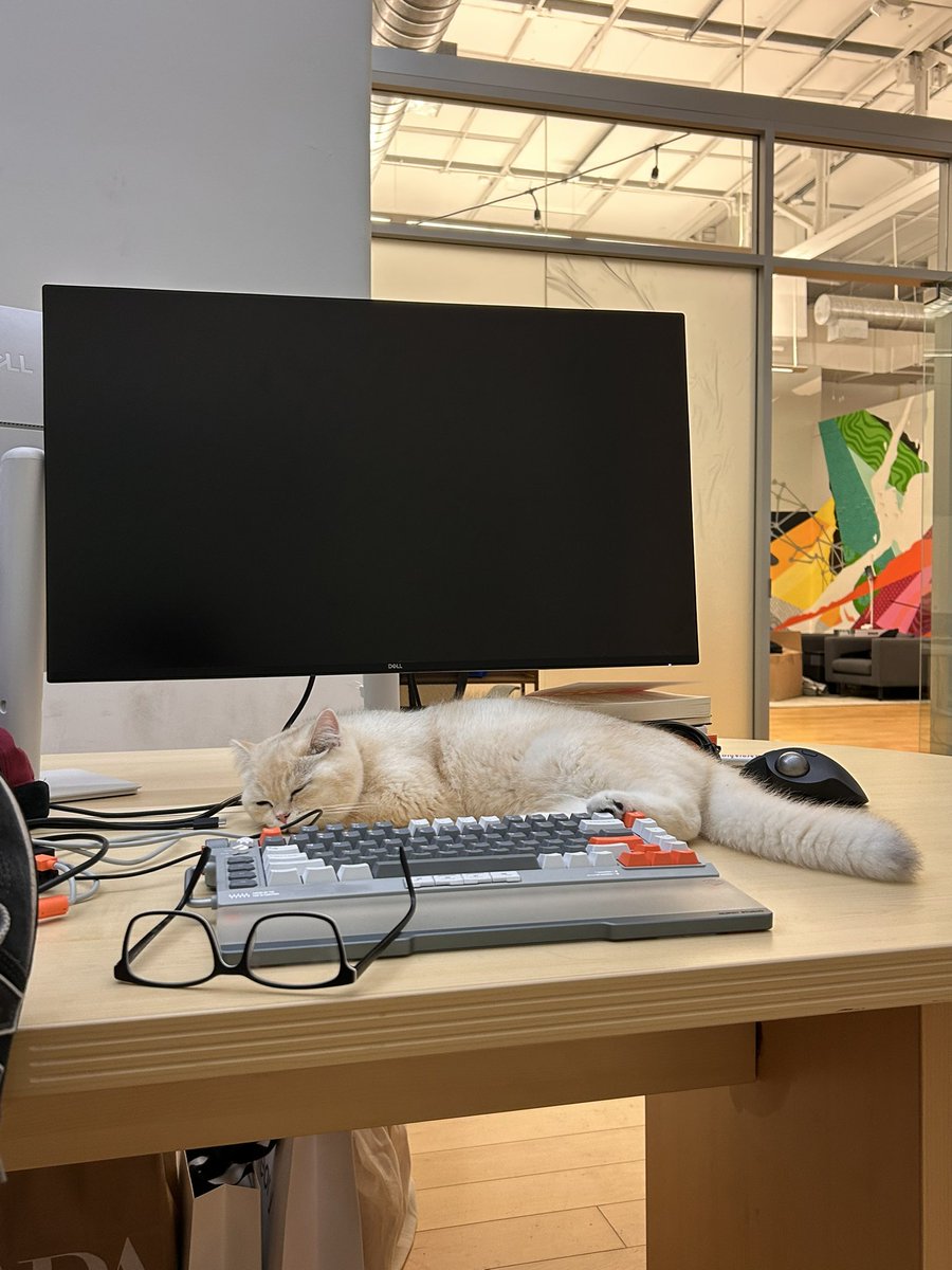 zacbakerr's tweet photo. everyday we work out of the @a37_ai office, i am more tempted to get a cat https://t.co/7SmFGXIWQg