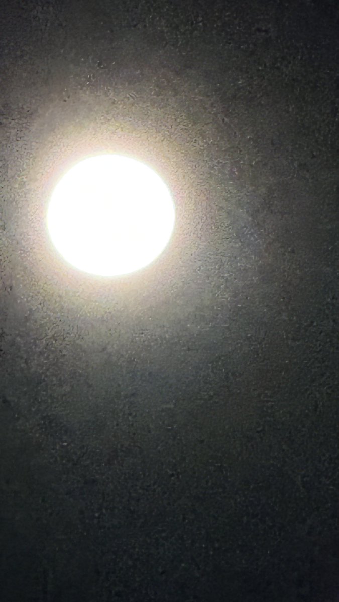 SherryElls's tweet image. Go outside and stand in the light of the moon, it’s spectacular tonight. 🌕
#lookup #HarvestMoon #supermoon #FullMoon #amazing #spectacular ♥️