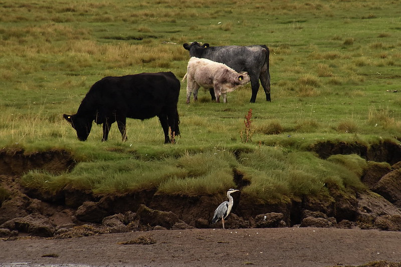 James Brown tweet media