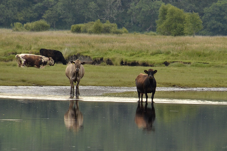 James Brown tweet media