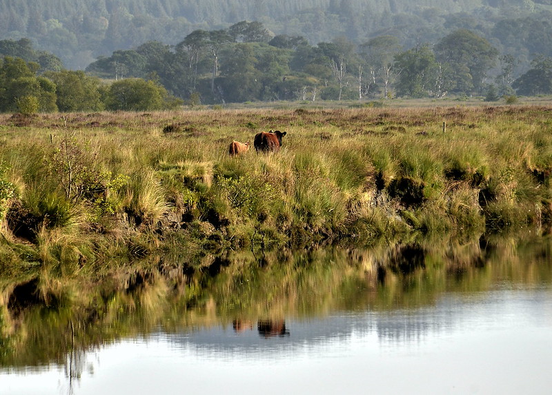 James Brown tweet media