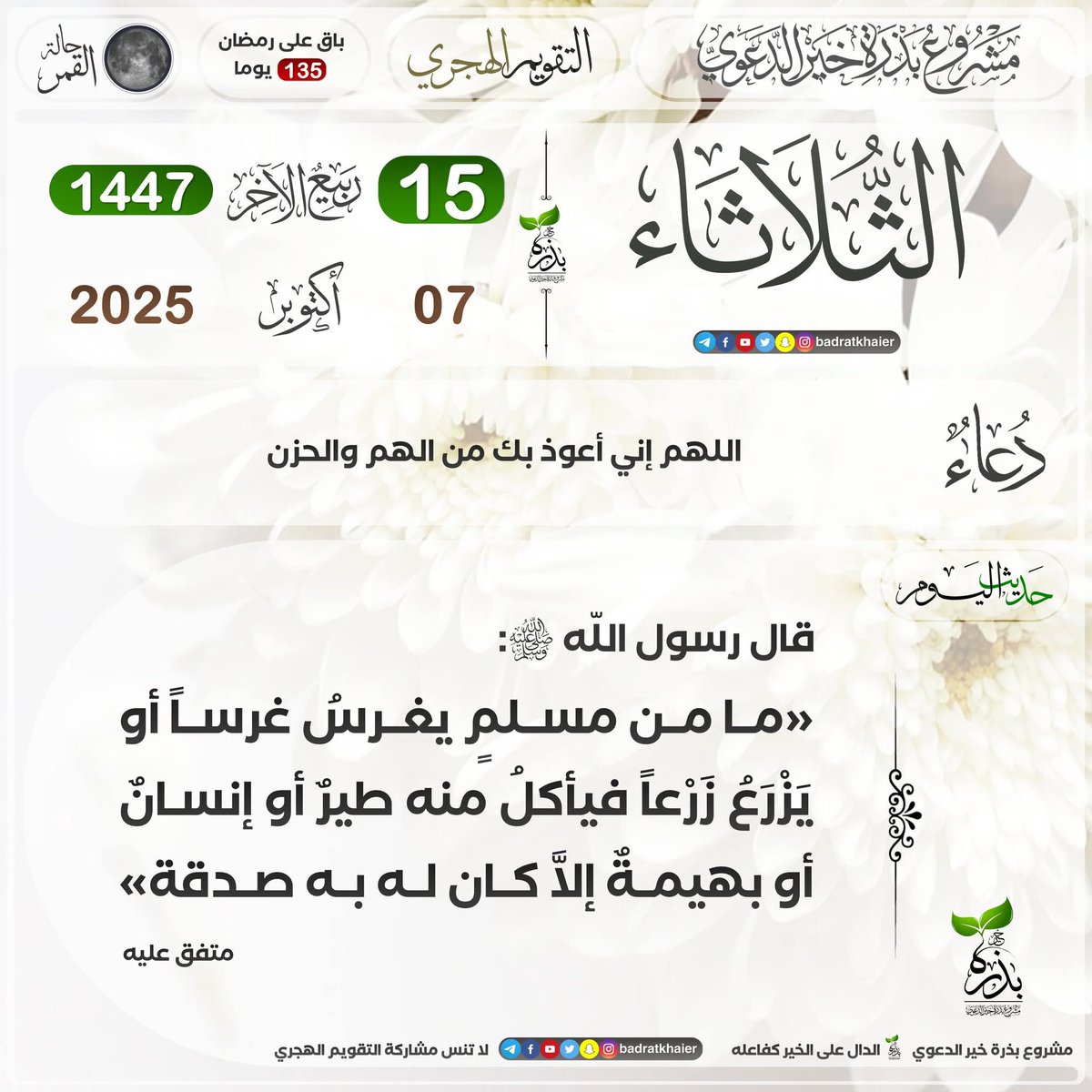 Tweet media one