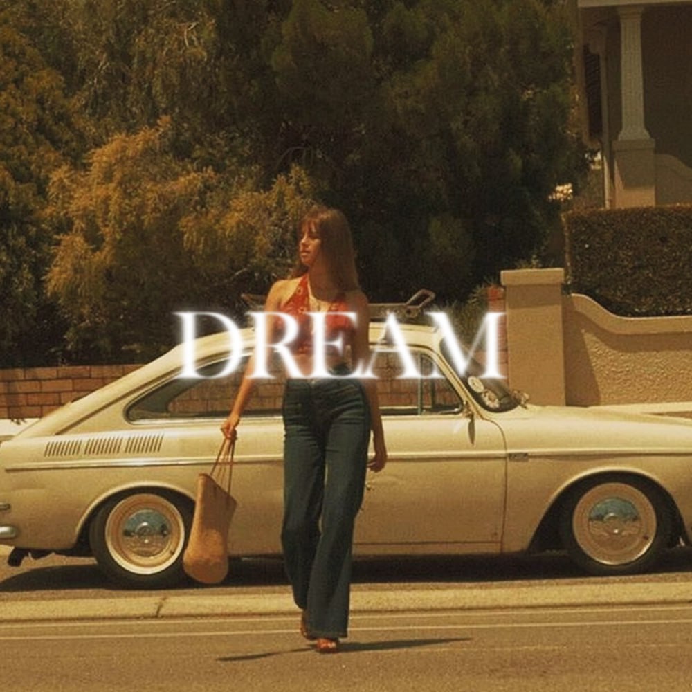 American Dream tweet media