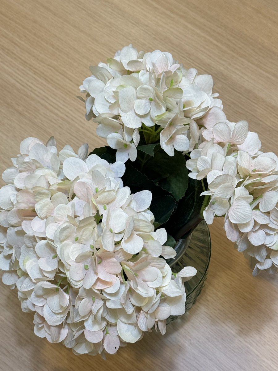 Killian. tweet media