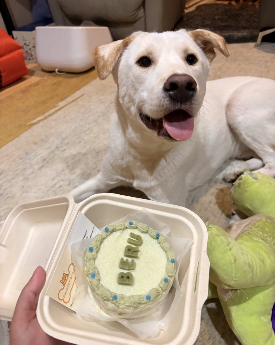 ate_pichi's tweet image. It’s my dog’s birthday 😍 hihi