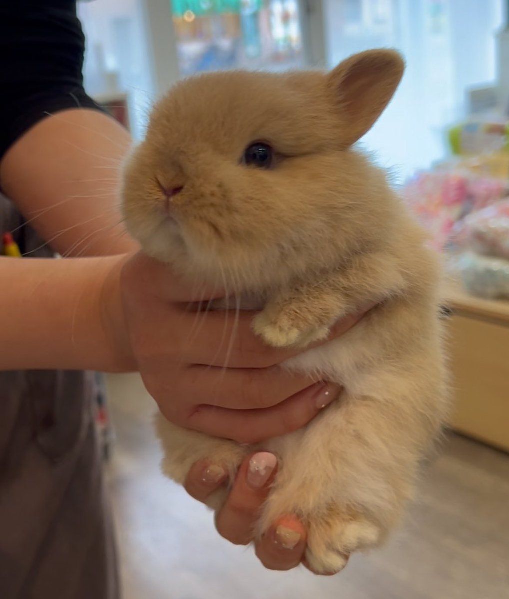 小さい頃のめるちゃん完全にモグラさんʔ•̫͡•ʕ