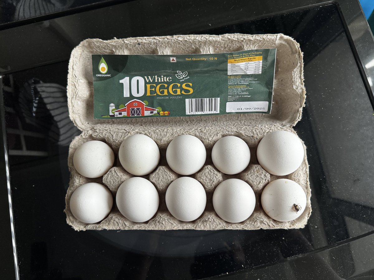 okashwinbabu's tweet image. I’m honestly shocked at the hygiene levels @SwiggyInstamart. For the third consecutive order, the eggs delivered had cockroaches on them. This is beyond disappointing — it’s a serious food safety issue.
Please escalate this immediately. @swiggy_in #Swiggy #Instamart #FoodSafety