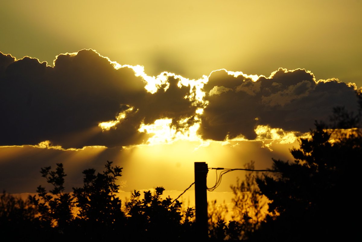 AJobaLCHDip's tweet image. Morning! Wake up with Pono. #sunrise #dogsoftwitter #dogsofx
#love #peace