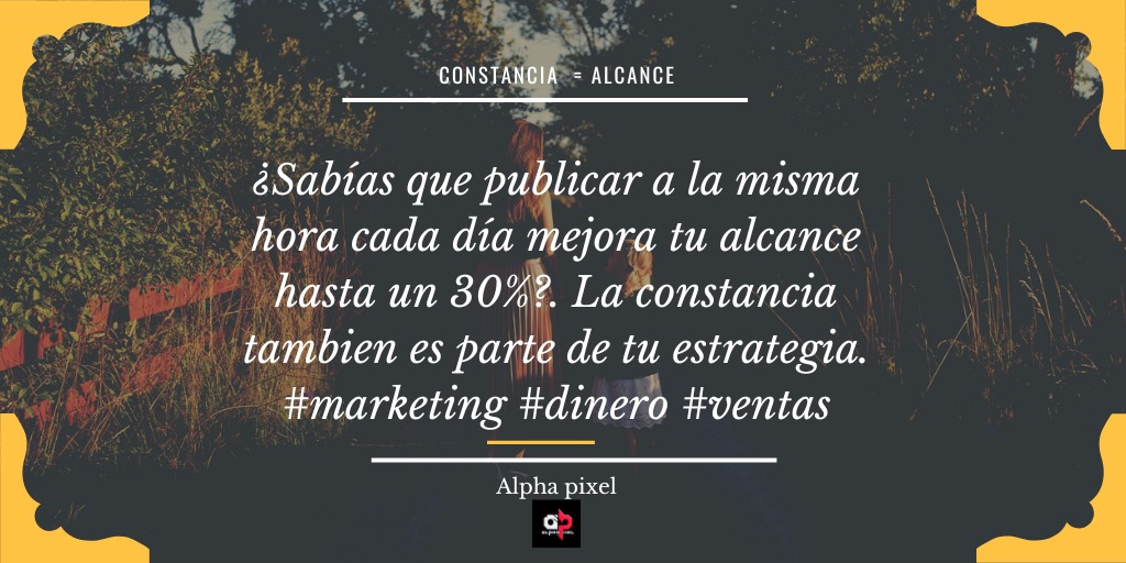 alphapixel985's tweet photo. Si buscas que tu marca transmita profesionalismo y creatividad 🧑🏻‍💻
En Alpha Pixel tenemos la fórmula perfecta. 🙌🏻 https://t.co/CSedePseUT