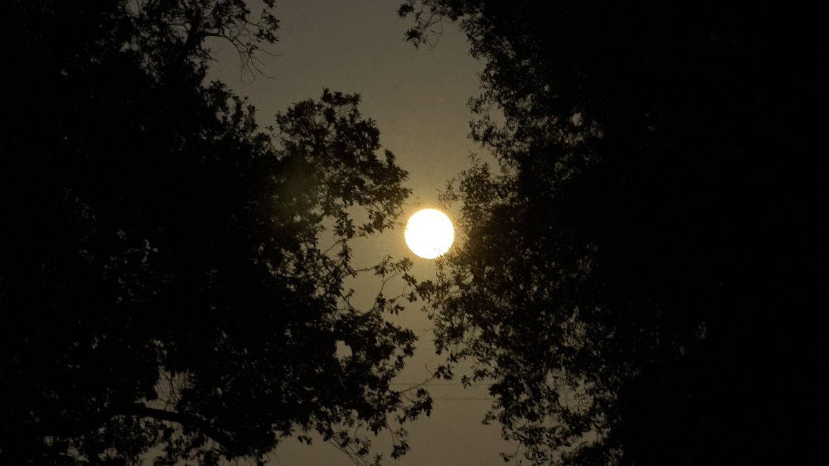 luvsluma's tweet photo. my sweet beautiful moon https://t.co/kJIcZ6gPwm