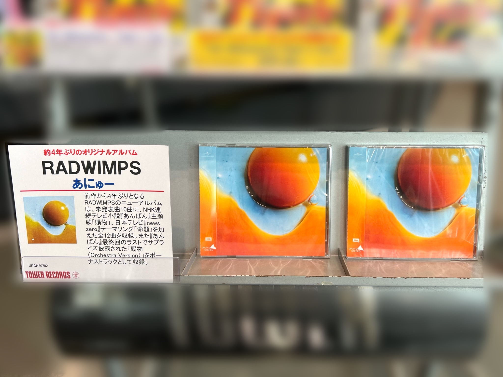 その年、私たちは 限定版レアレコード！ LP )THE DAMNED / 地獄に堕ちた野郎ども 2007JAPAN LP 稀少 NE