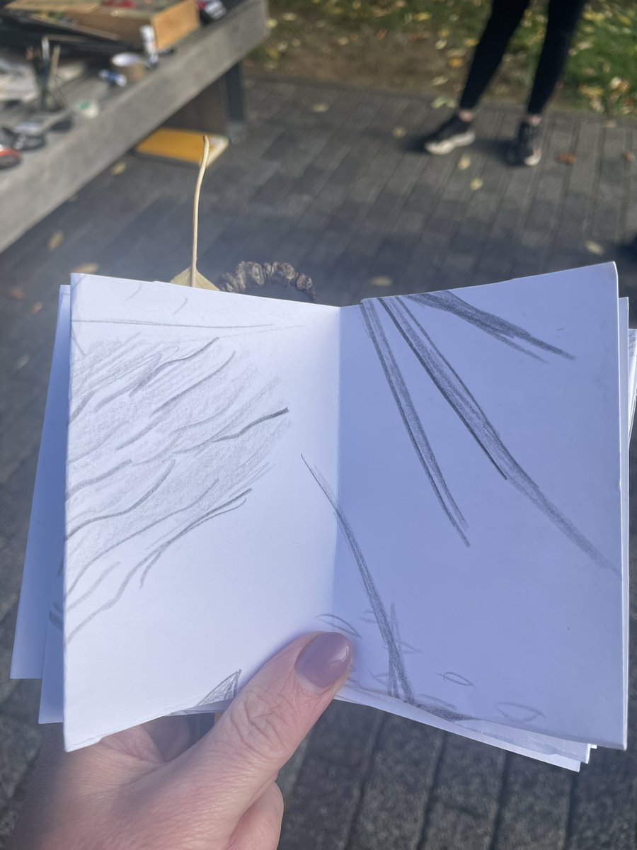 Stanwick Primary tweet media