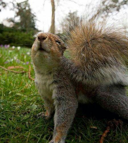 feel the rain on your skin