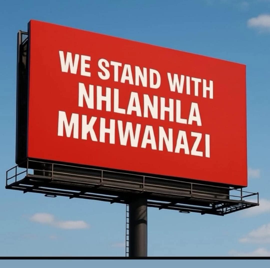 The General Nhlanhla Mkhwanazi Day at the Parliament's Ad Hoc Committee