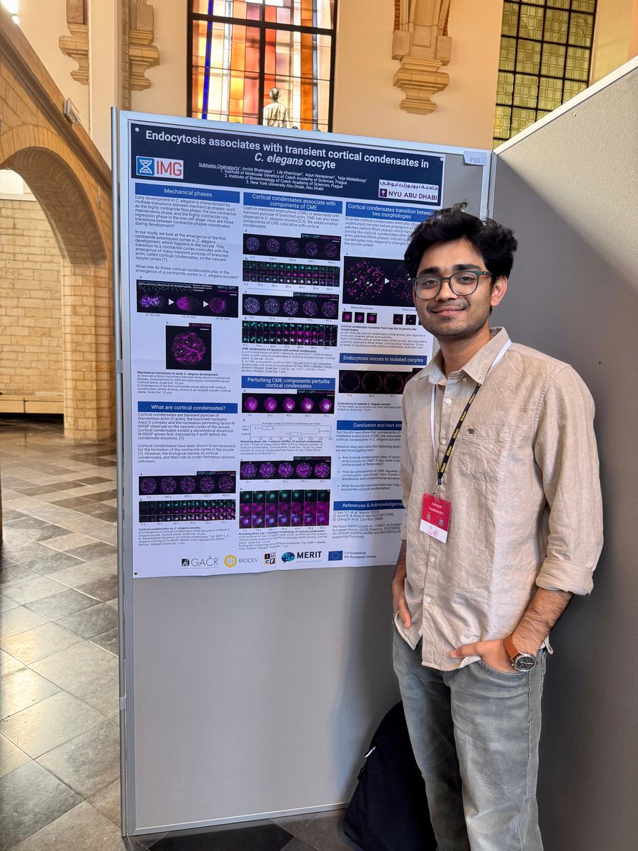 SubhadipGCGEB's tweet photo. It was a great pleasure to talk about our work in the “10th European Cell Mechanics conference”, jointly organized by KU Leuven and University of Mons in the heart of the beautiful city, Leuven, Belgium :) 

#mechanobiology #cellmech2025 https://t.co/o8v05eR3Hr