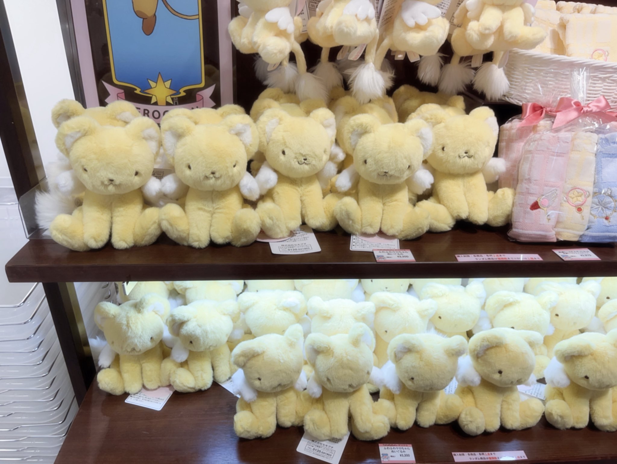 曖川にゃんた️ 𝟅𝟈 (@nyanta_111) / X