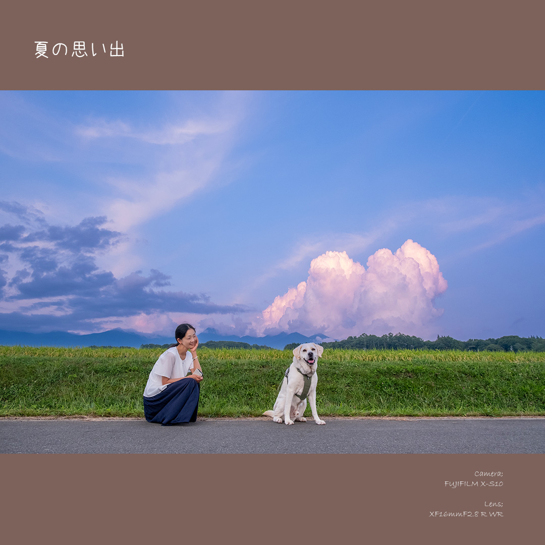 atelier_shirabe's tweet image. 真夏の記憶
#ファインダー越しの私の世界
#元盲導犬