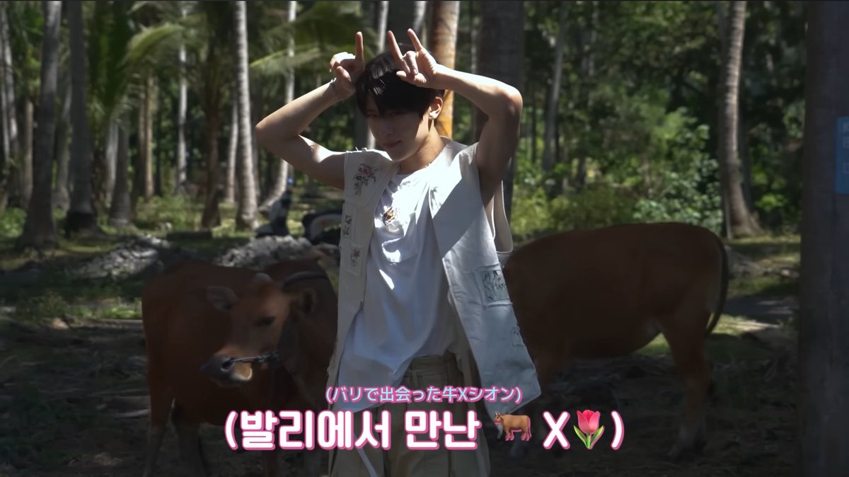 sionascow's tweet photo. 🐂 x 🌷 ㄱㅇㅇ🥰💕 https://t.co/9mIFIZtLkQ