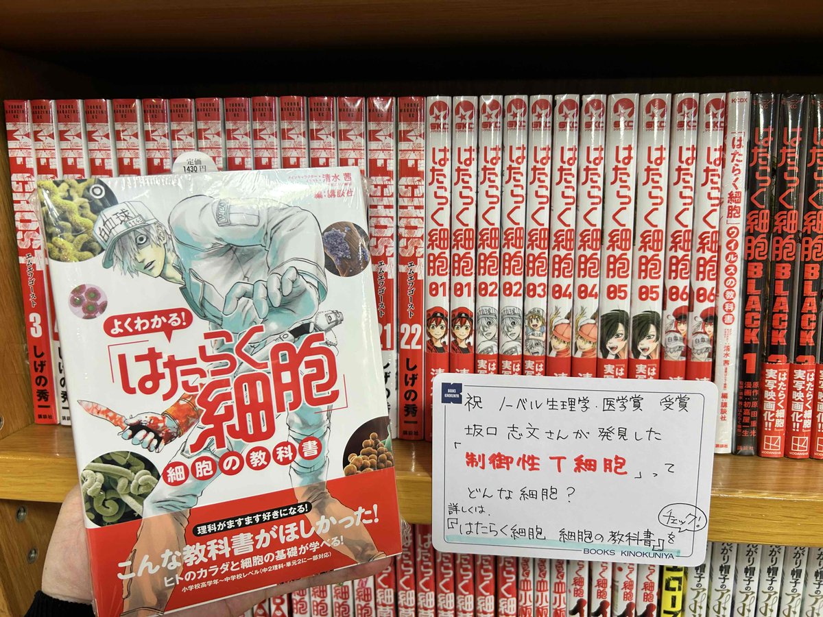 はたらく細胞　他スピンオフのみ　合計19冊　未開封多数あり はたらく細胞 他スピンオフのみ 合計19冊 未開封多数あり Amazon