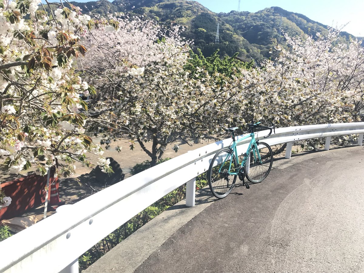 Daikyo_Tako0225's tweet photo. 多くは語らぬ https://t.co/u4sjmPPhir