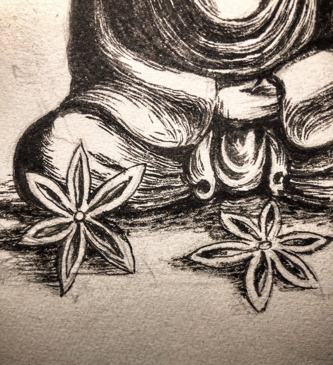 nwari_art's tweet photo. Doing art challenge despite all the activities around... around my mind.

Day 6: Pierce x Star Anise
“Impaled Enlightenment”
#Inktober2025 #Plantober2025 #inktober https://t.co/EMCbBM5ODh