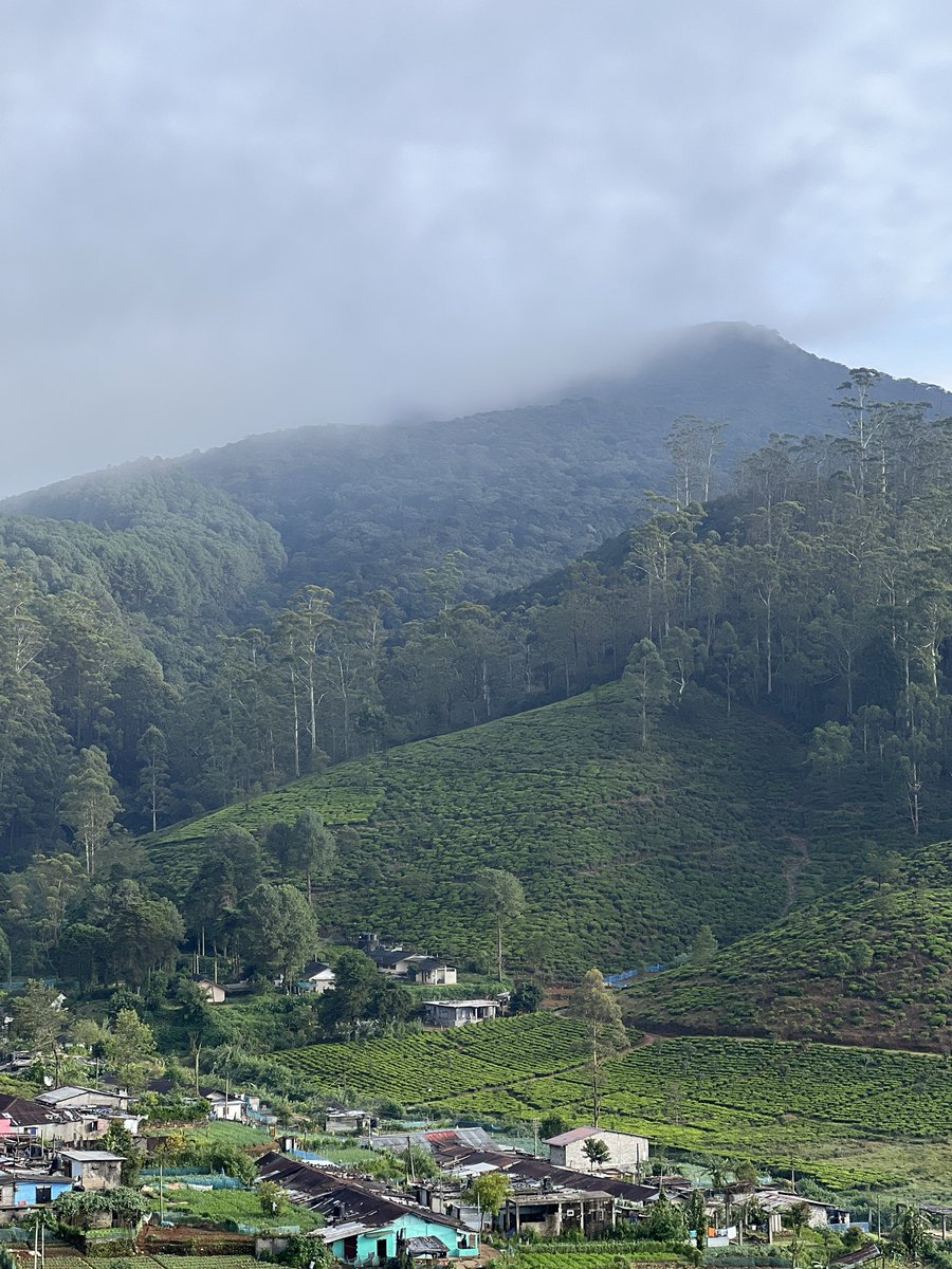 FittrwithKJ | Kapil Jadhav tweet media