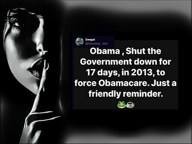 ColdBeerConv's tweet image. Obama shut the government down for 17 days, in 2013 to force Obamacare.
Just a friendly reminder...