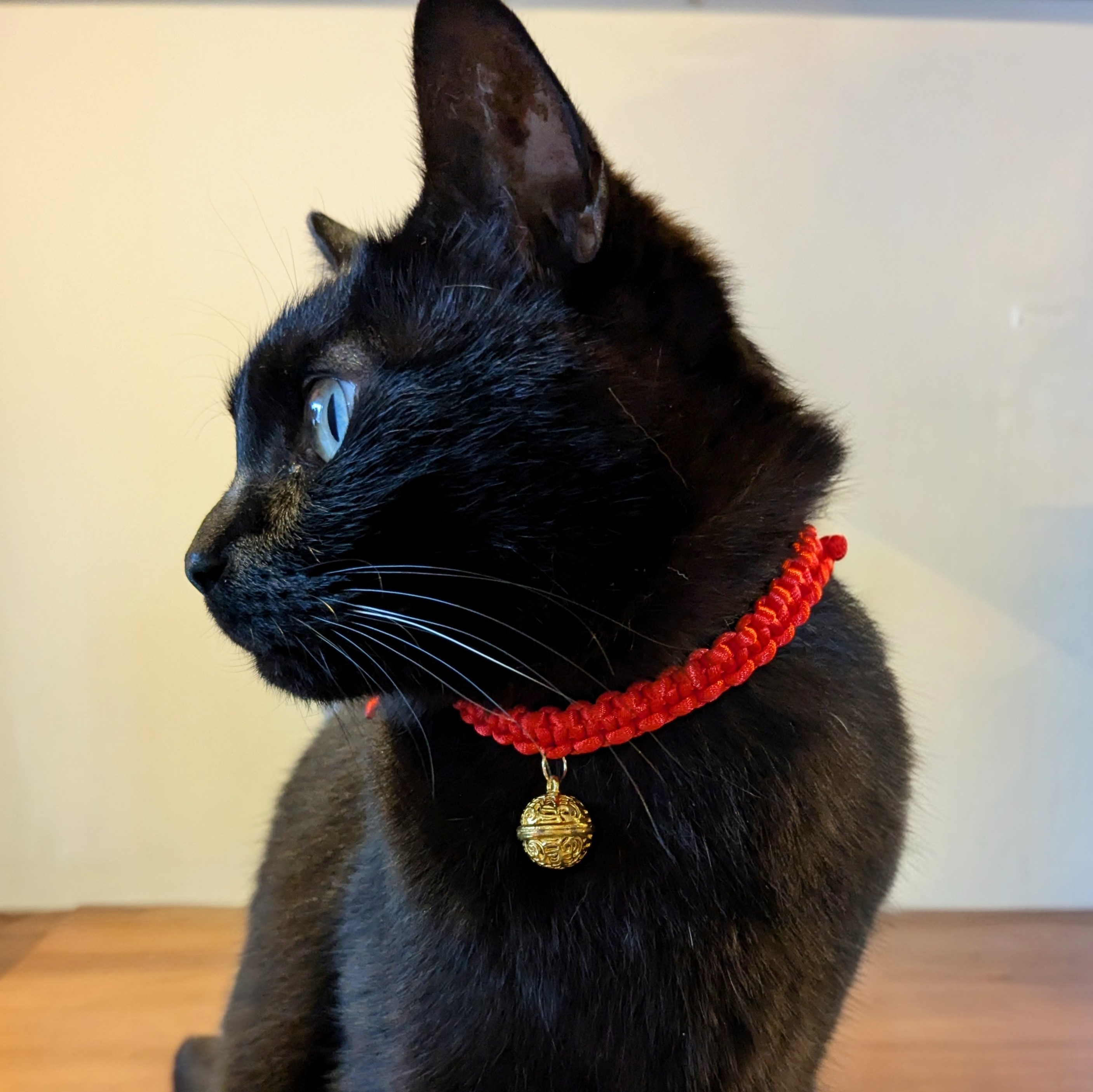 ネコノテ堂 / NEKONOTE Handmade Shop on X: 