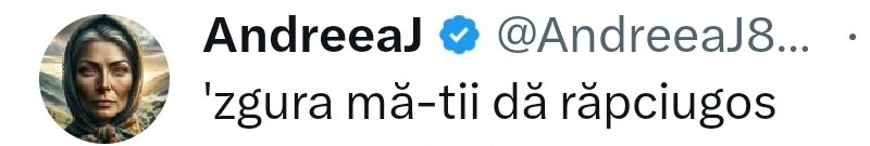 Danut Fagadau tweet media