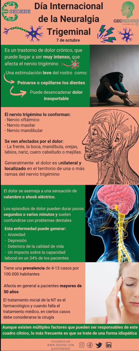 NoInvisibles's tweet image. Es #DiaInternacionalNeuralgiaTrigémino #TrigeminalNeuralgiaAwarenessDay
La #NeuralgiadelTrigémino afecta al Sist. Nervioso Periférico, es de las #EERR por su baja prevalencia y también invisible🤯
@leo_veritas que habla de #BesosQueDuelen, ha escrito un libro sobre el dolor, en…