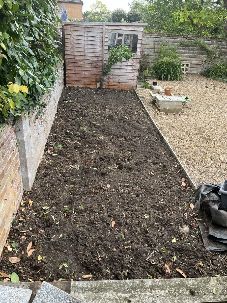 Up the wonky donkeys ..✅ scaling up for 2026 and all in for it 🥕🥦🌽🫜🧄